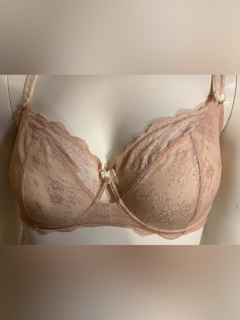 Paramour Underwire Bra 40G EUC